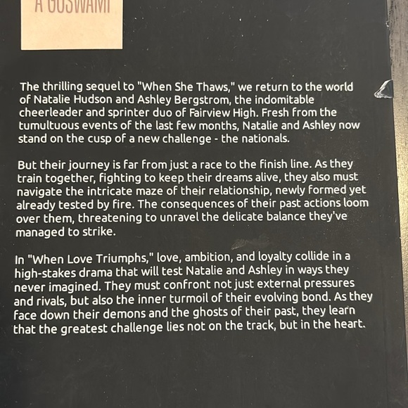 🏳️‍🌈 When Love Triumphs A. Goswami LGBTQ romance paperback book - Picture 3 of 5